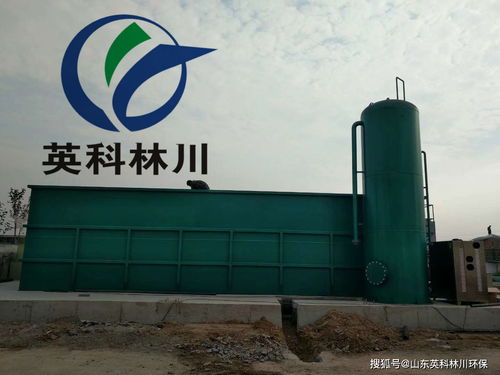 山楂制品加工污水處理設(shè)備 一體式污水處理達(dá)標(biāo)排放系統(tǒng)與氣浮機(jī)應(yīng)用