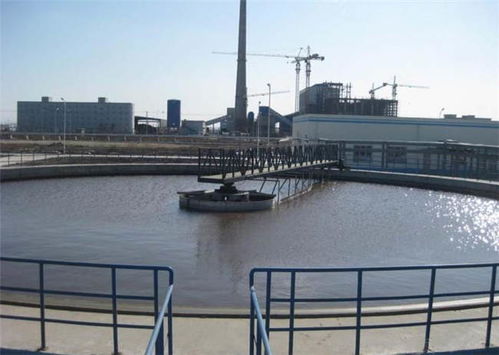 山東天朗環保 優質唐山周邊傳動刮吸泥機及氣浮機解決方案