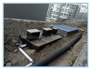 食品廠廢水處理設(shè)備供應(yīng)信息 聚焦高效氣浮機(jī)技術(shù)